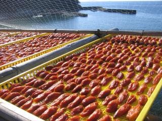 Higashiyama dried by the seaside