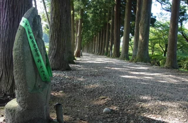 Approach to a row of trees at Tateyama-ji Temple