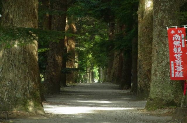 A row of trees with Tateyama-ji Temple