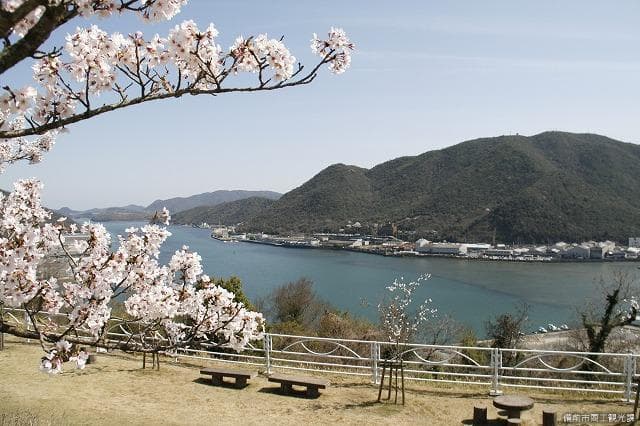 Spring / Katakami Bay Area