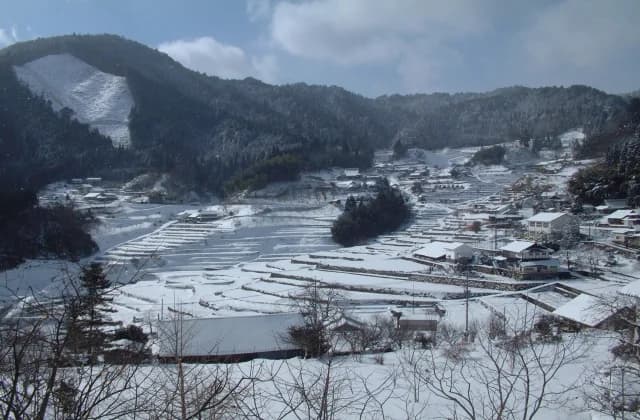 Winter