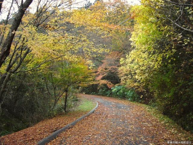 Anyoji Terayama Road