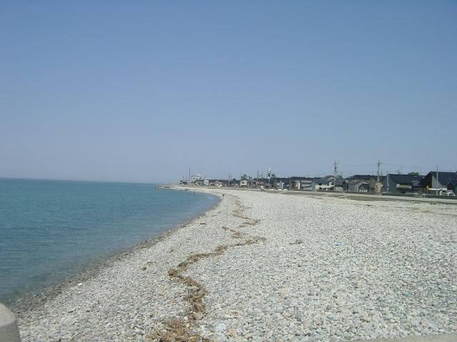 Fabric Omachi Beach