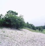 Nishinohama Shell Mound