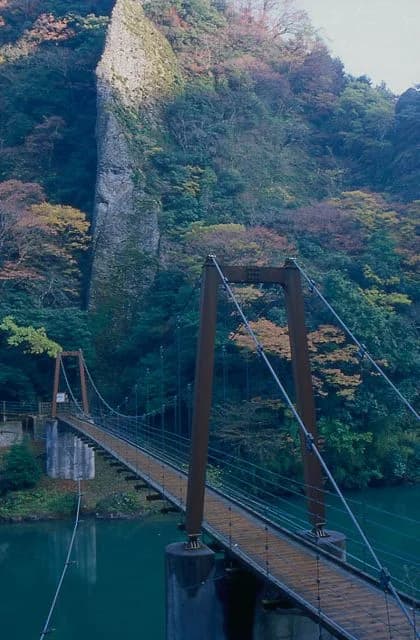 Autumn leaves of Tachikue-kyo Gorge