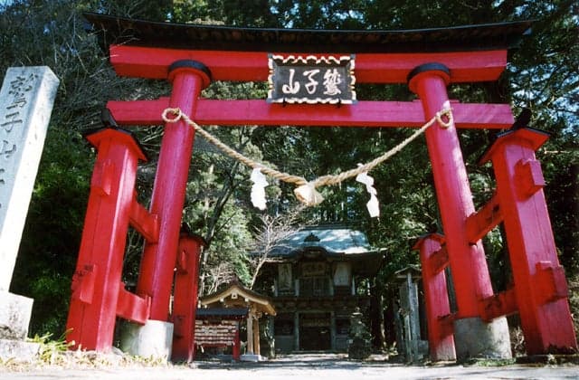 Torinoko Sanjo Shrine