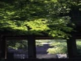 Koyamadera Sanmon 2