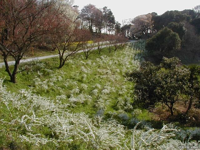 Aichi Children's Country