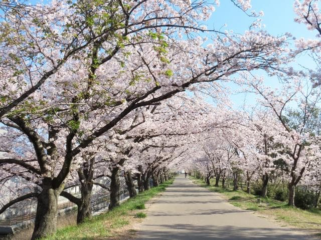 Sumiyoshi embankment 2020
