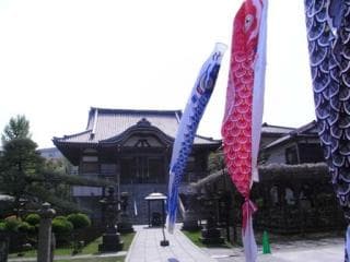 Wisteria blooming Kinoshitagawa Yakushi