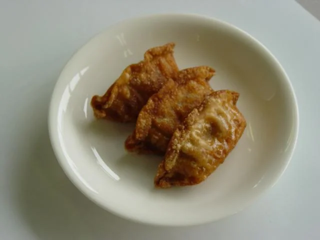 Tomato runrunn fried gyoza