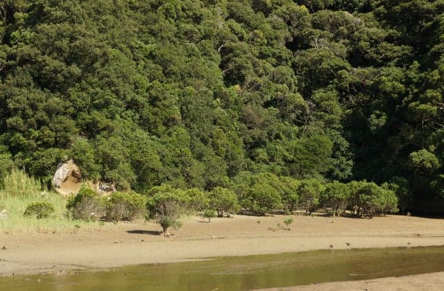 Mehirugi group near the mouth of the river (at low tide)