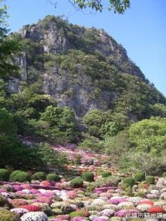 御船山楽園　ツツジ