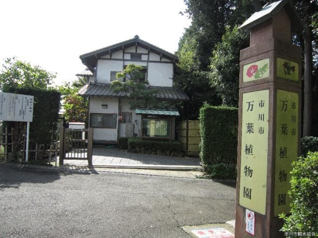 Manyo Botanical Garden, Ichikawa City