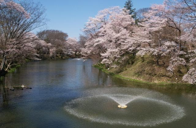 Kamegajo Park (Tanakura Castle Ruins)