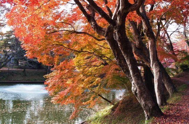 Kamegajo Park (Tanakura Castle Ruins)