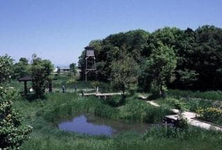 Iwakura City Natural Ecological Garden