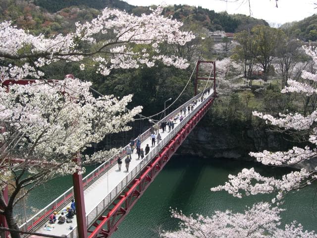 Sakurabuchi Park