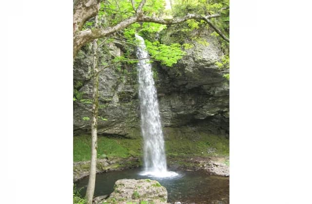 Oshika Falls