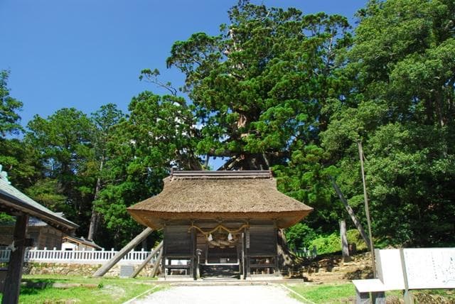 Tamawakazumei-jinja Shrine