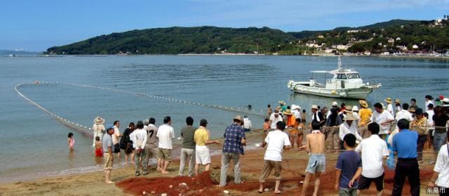 The pattern of the seine net