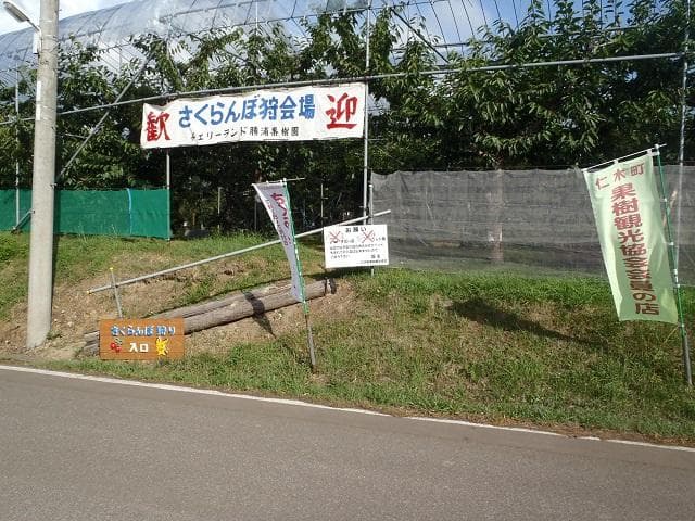 Katsuura Orchard