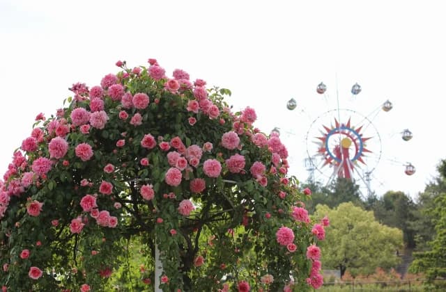 Hachigamine General Park