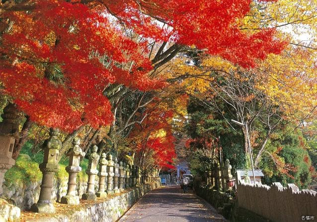 Uryu Fujishine Shrine, Stone Lantern