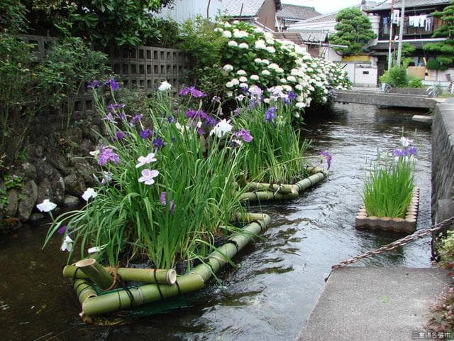 花筏