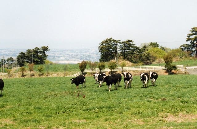 The wind of Kurobe Ranch Maiba