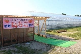 いちご園