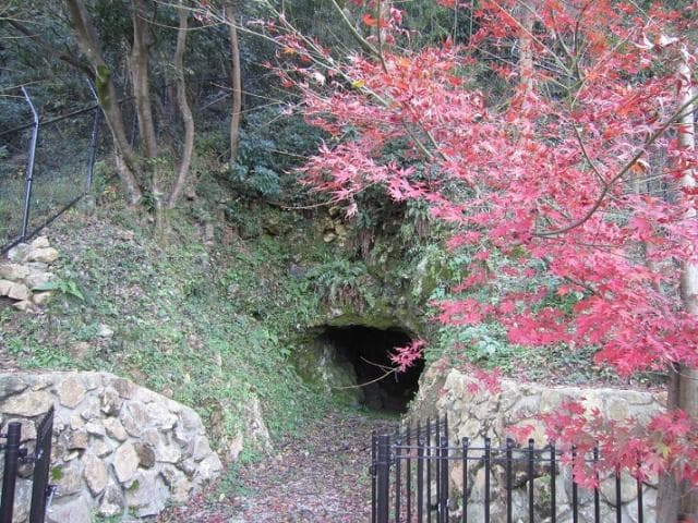 The entrance of Jinma