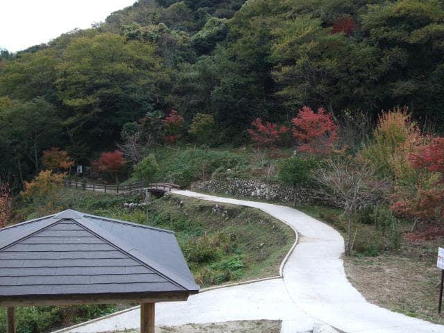 Kamima Ayuko Park