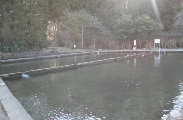 Okawado fishing pond