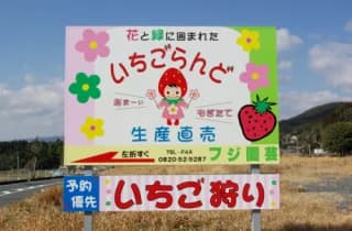 Signs at the entrance