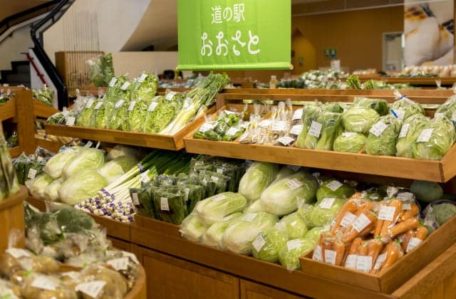 Roadside station Osato hall