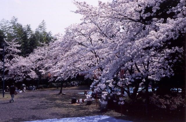 Kyoraku Park