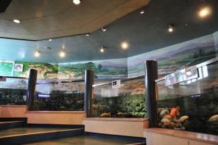 Freshwater Fish Museum (2)