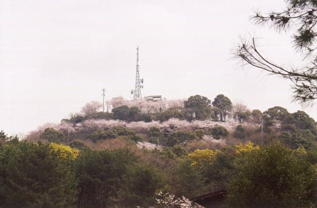 Hinokumayama Observation Deck