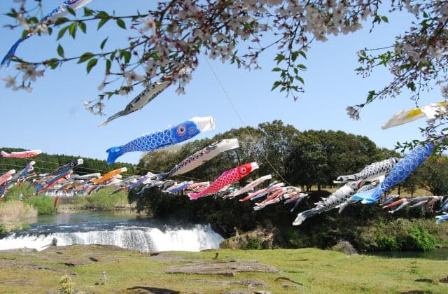 Yunoo Falls Koinobori