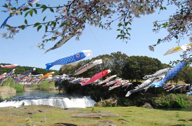 湯之尾滝　こいのぼり