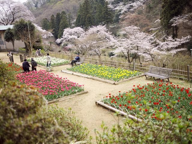 Agatsuma Park