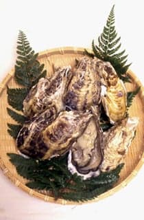 One grain of Buzen Sea