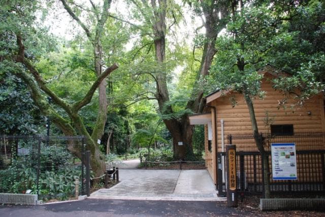 Ali Taki Botanical Garden Entrance