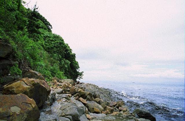 Kojima Natural Beach