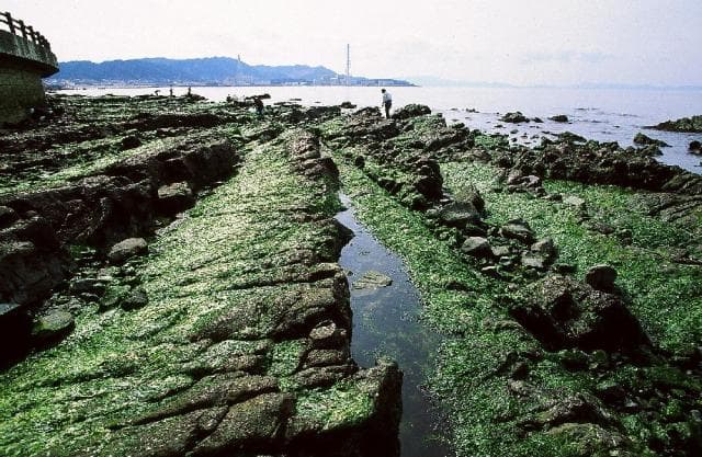 Nagamatsu Natural Beach