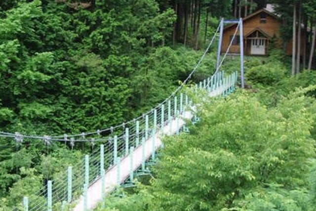 The Forest of Spinbo