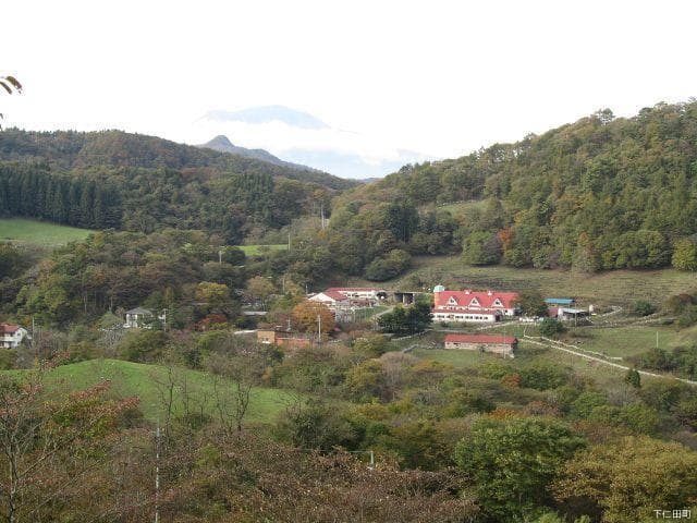 A view of the ranch