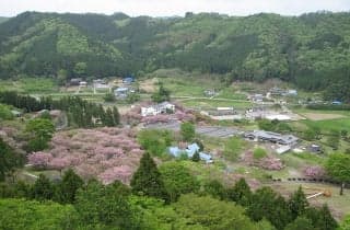 Yasuragi no Sato Park