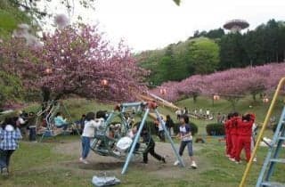 Yasuragi no Sato Park (2)
